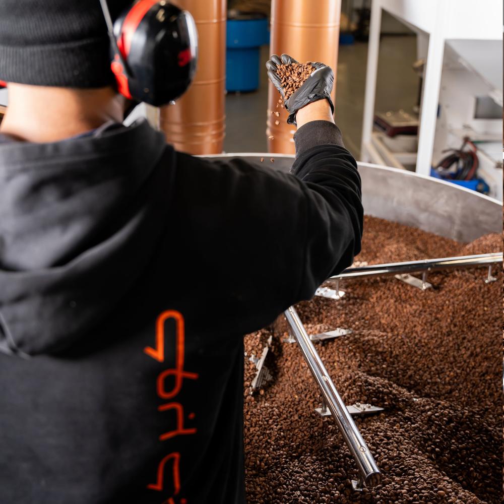 وصفات محصول لافريسا كولومبي