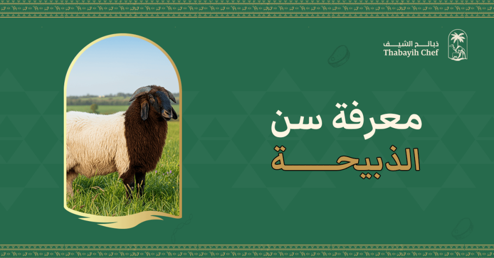 معرفة سن الذبيحة