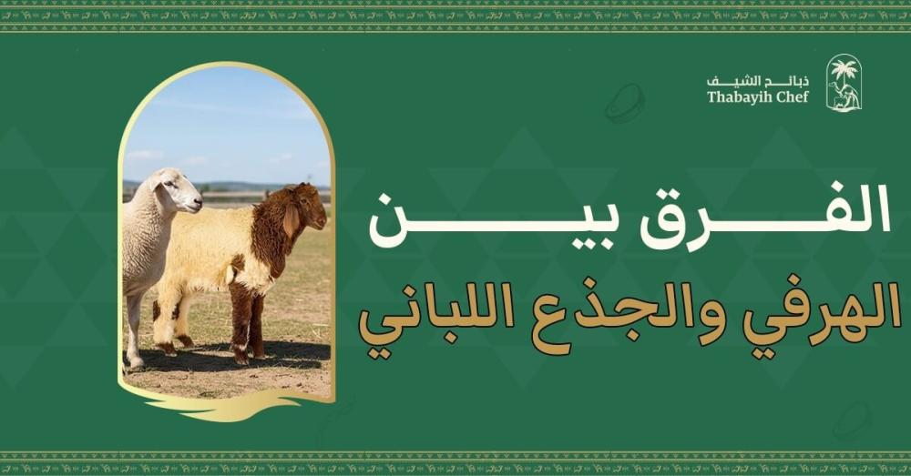 الفرق بين الهرفي والجذع واللباني