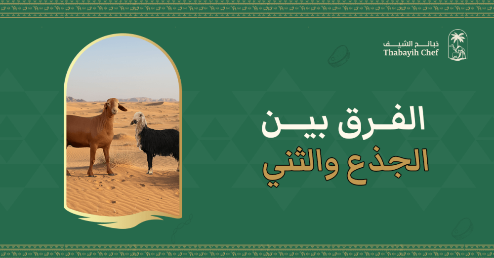 الفرق بين الجذع والثني