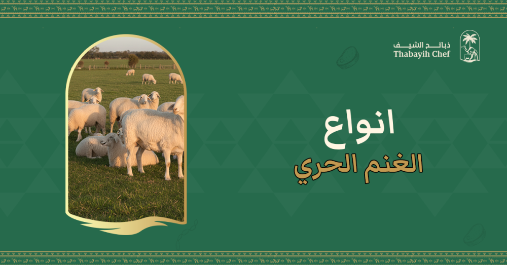 أنواع الغنم الحري