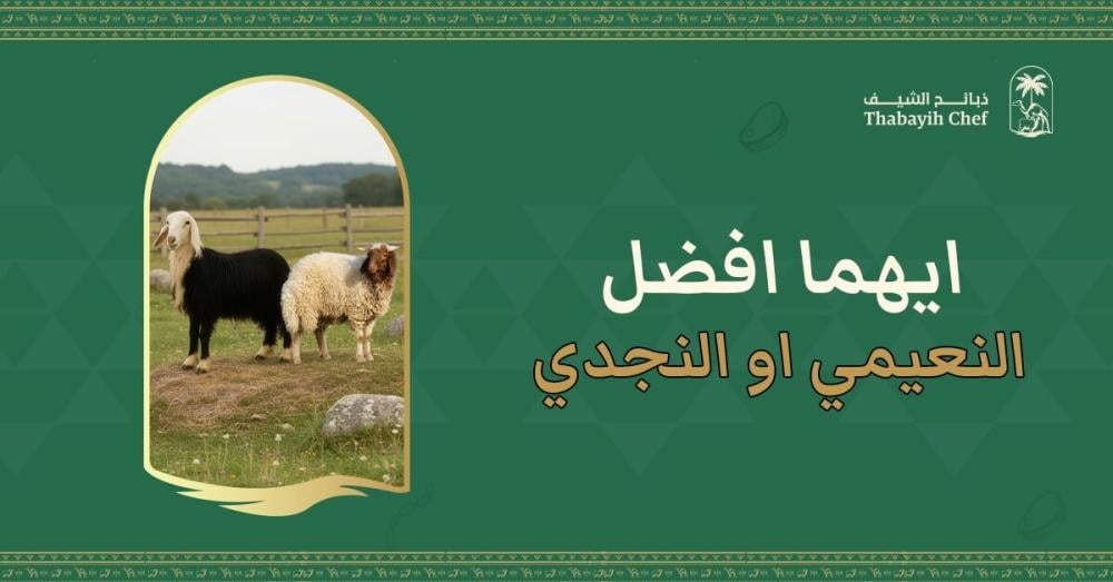 ايهما افضل النعيمي او النجدي