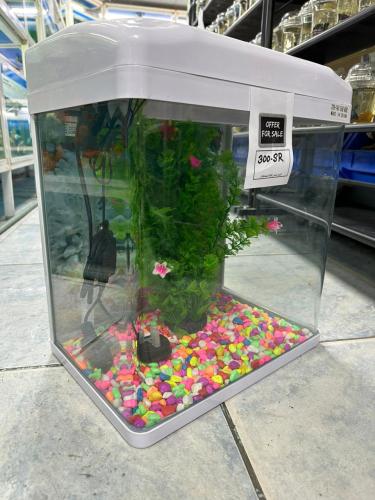 TANK400 AQUARIUM FISH حوض أسماك الزينة