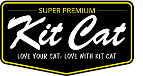 Kit Cat