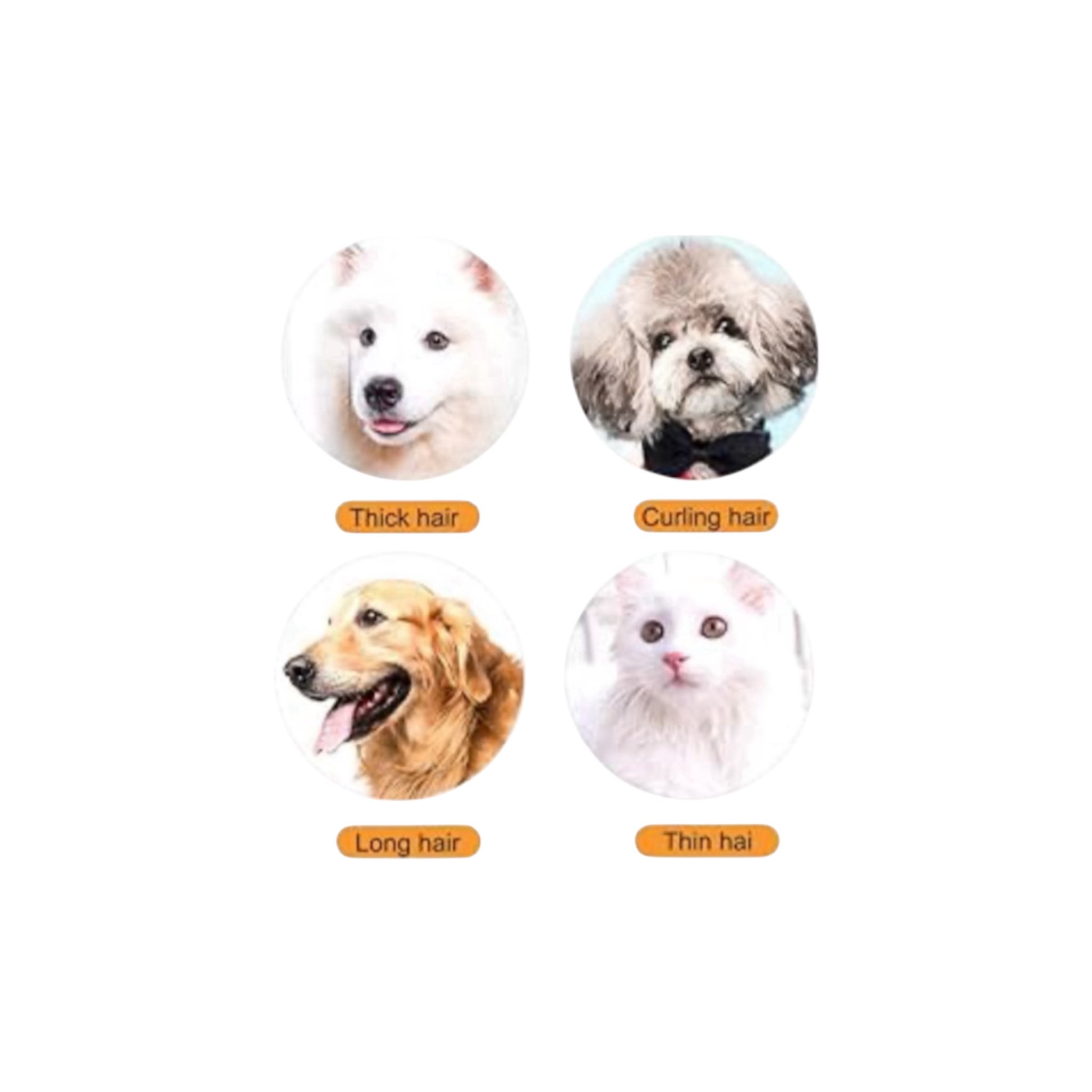 للحيوانات والبعارين Kemei