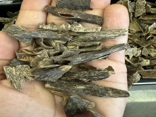 عود تراد ميني دبل و تربل سوبر