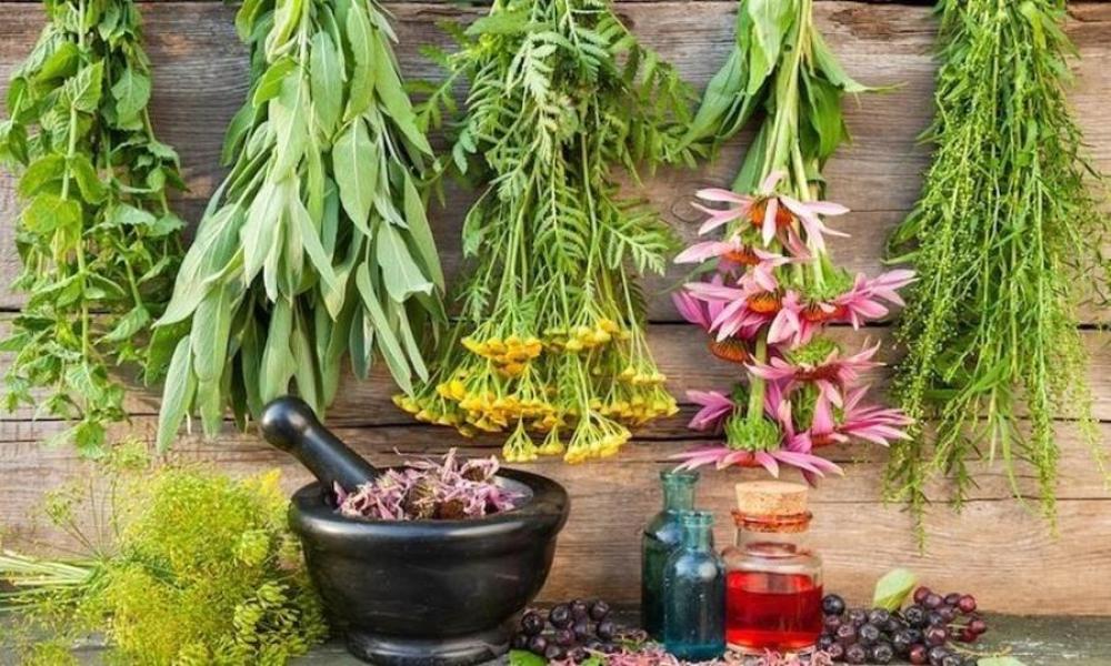 أفضل 7 أعشاب مذهلة للعناية بالبشرة