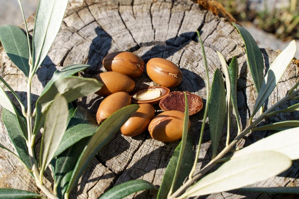 فوائد زيت الارغان للشعر