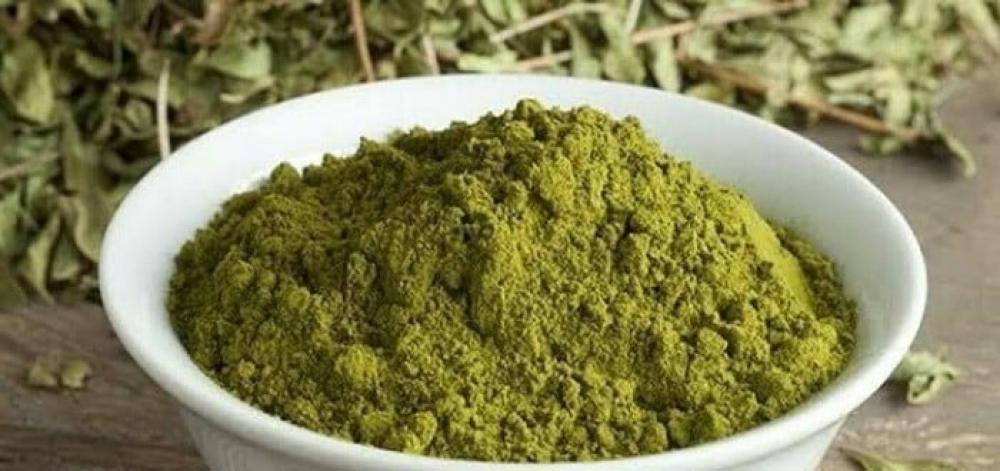 حناء المدينة… سر الجمال الطبيعي المتوارث عبر الأجيال