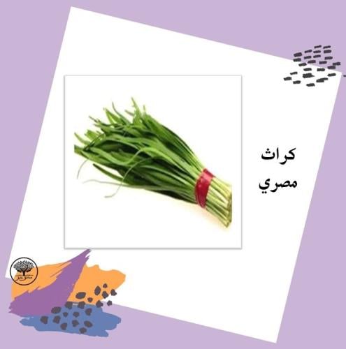 بذور كراث مصري متوارث