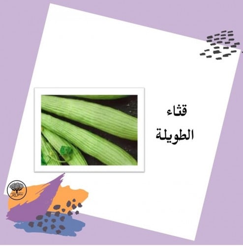 بذور قثاء الطويلةF1