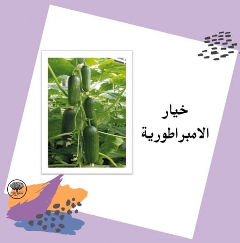 بذور خيار الامبراطورية F1