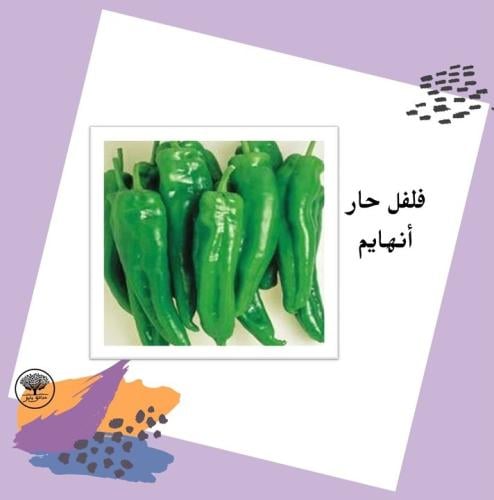 بذور فلفل حار أنهايم الأخضر الطويل متوارث