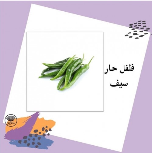 بذور فلفل حار سيف f1
