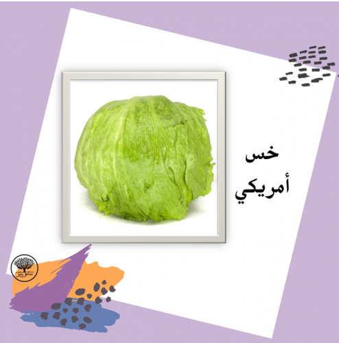 بذور خس امريكي F1