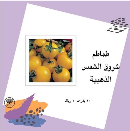 بذور طماطم شروق الشمس الذهبية F1