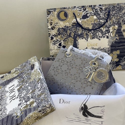 ديور الحجم الوسـط- Dior bag