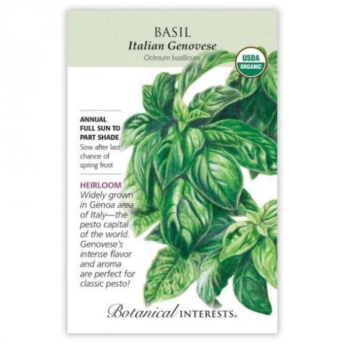 بذور ريحان إيطالي جنڤيز عضوي- Italian Genovese Basil Seeds