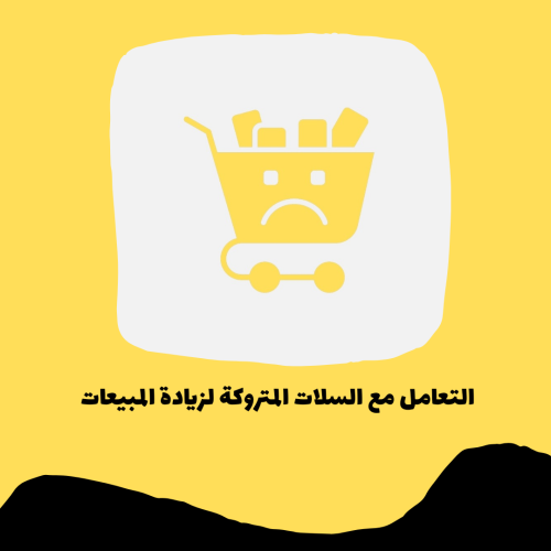 التعامل مع السلات المتروكة لزيادة المبيعات pdf