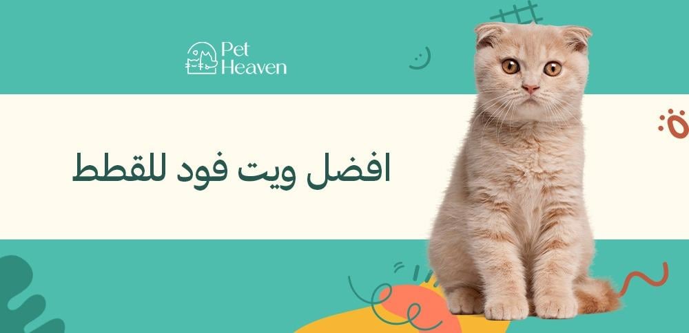 افضل ويت فود للقطط: دليل كامل لاختيار الطعام المناسب