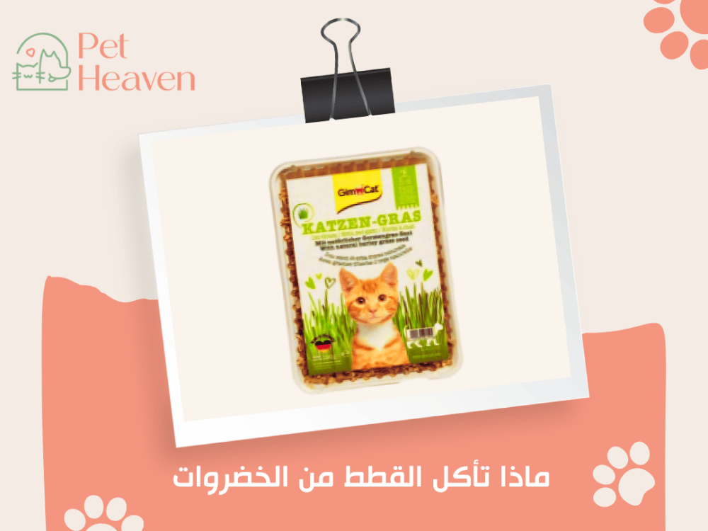 ماذا تأكل القطط من الخضروات