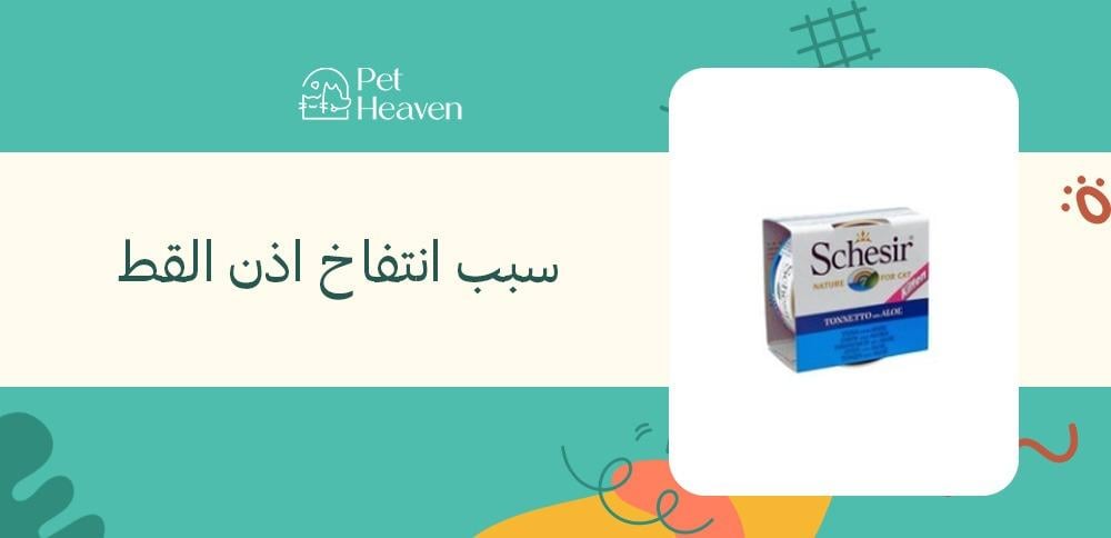 سبب انتفاخ اذن القط