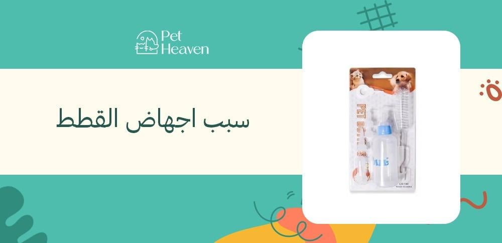 سبب اجهاض القطط