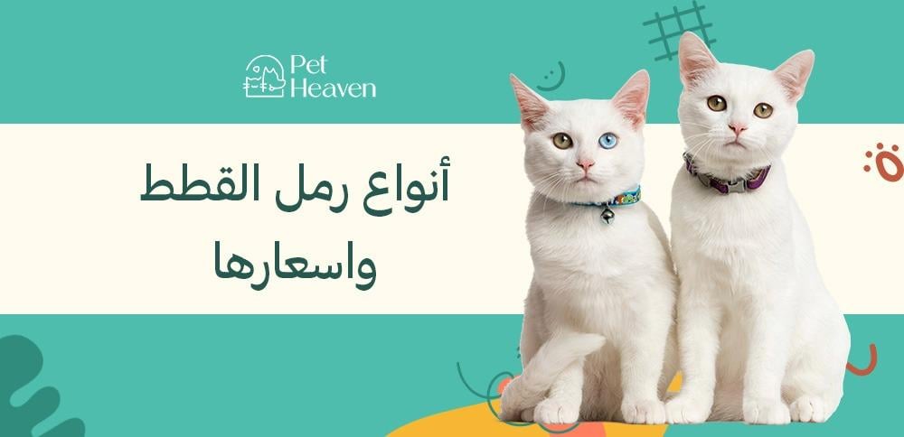 أنواع رمل القطط وأسعارها: دليل شامل لإختيار صحيح