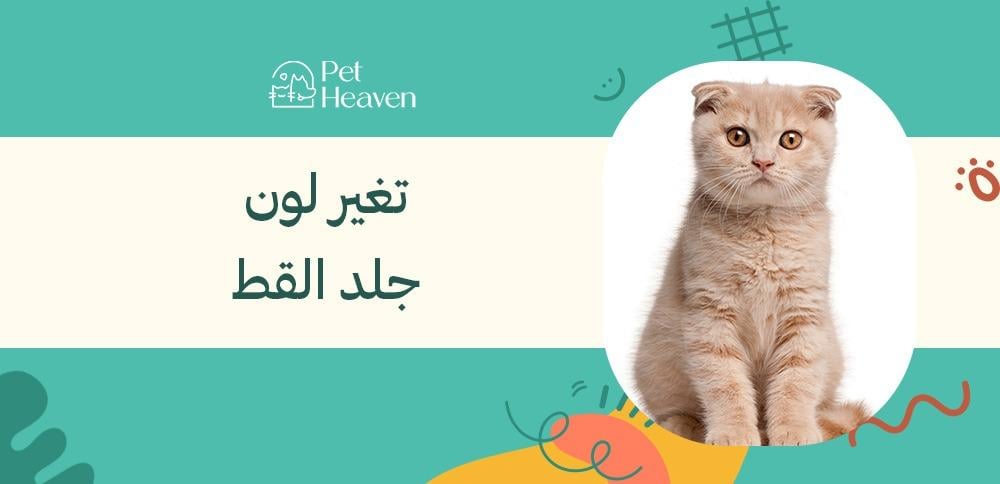 تغير لون جلد القط