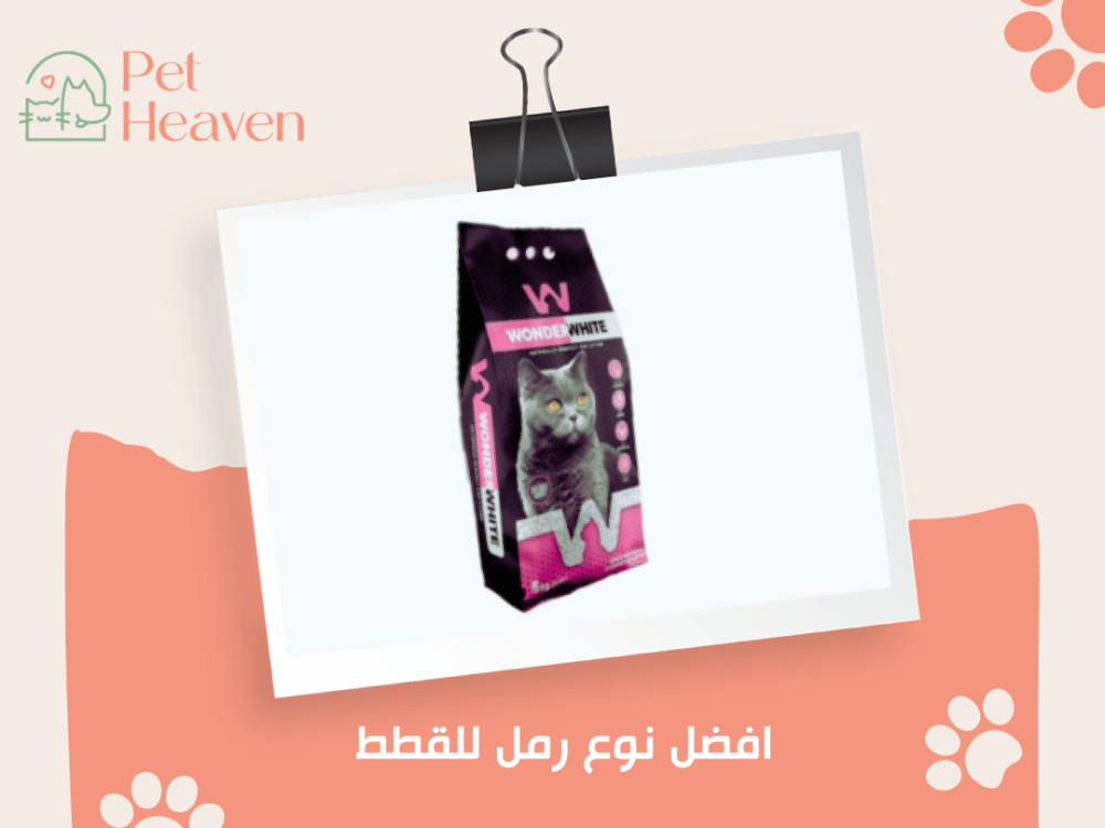 افضل نوع رمل للقطط