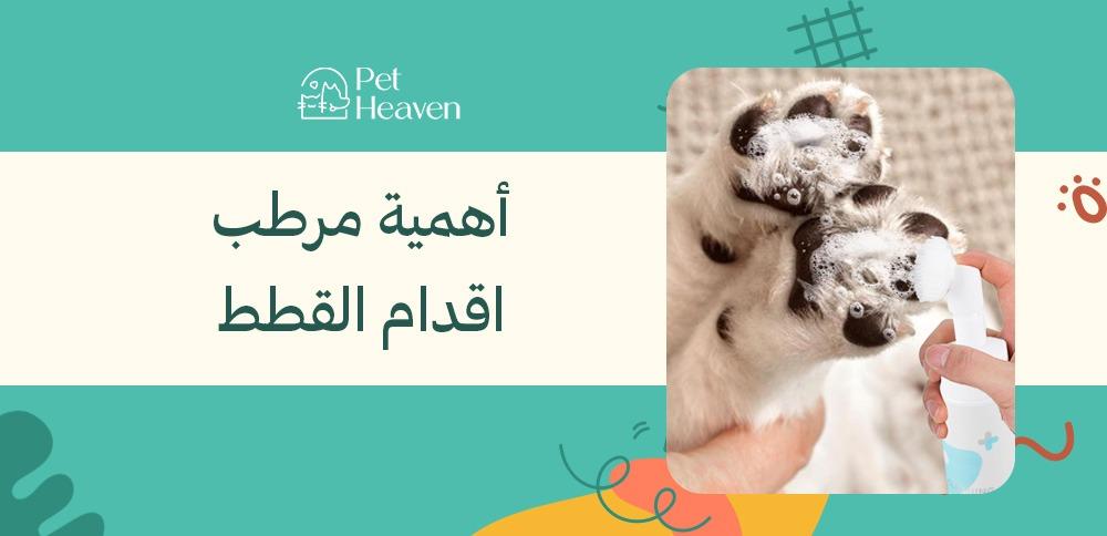 أهمية مرطب اقدام القطط