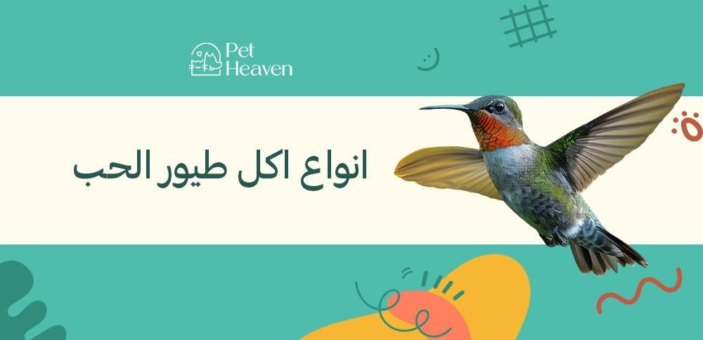 ما هي انواع اكل طيور الحب والفروق بينهم