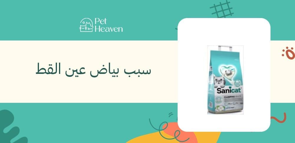 سبب بياض عين القط