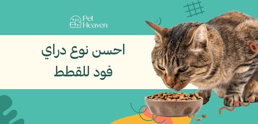 تعرفي على احسن نوع دراي فود للقطط و الفروق بينهم دليل شامل