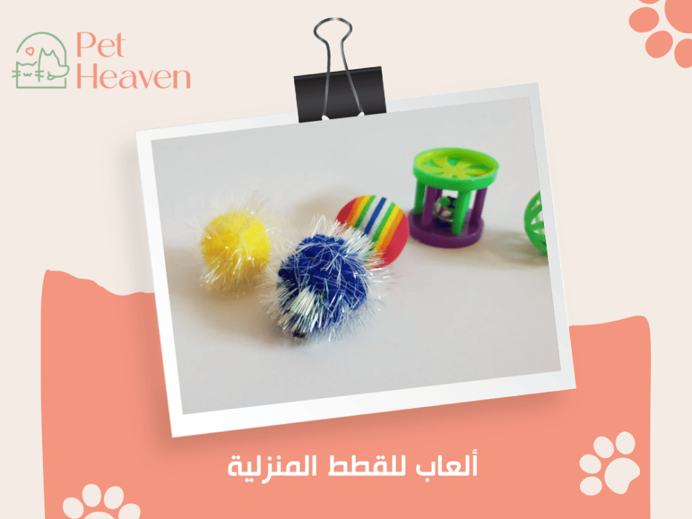 ألعاب للقطط المنزلية