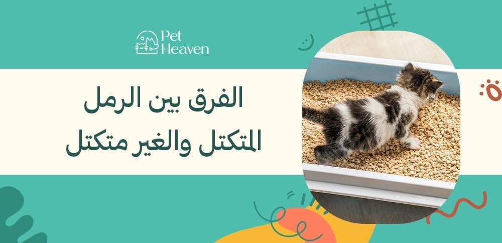 الفرق بين الرمل المتكتل والغير متكتل