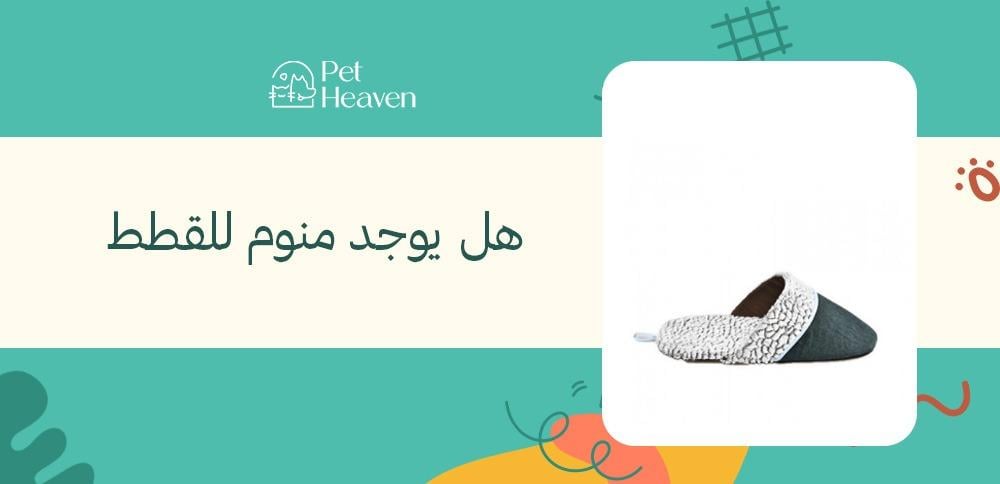 هل يوجد منوم للقطط