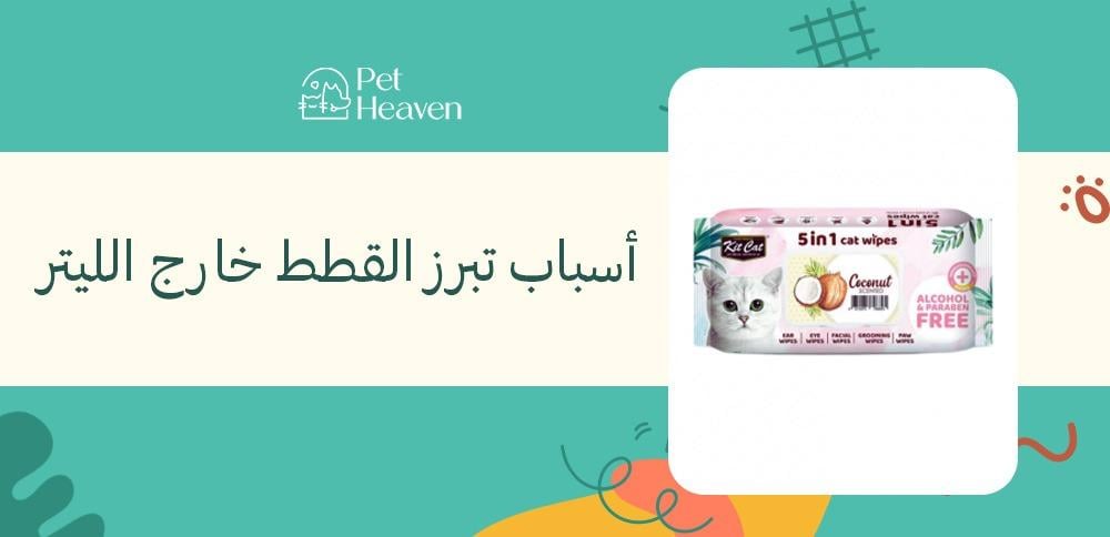 أسباب تبرز القطط خارج الليتر