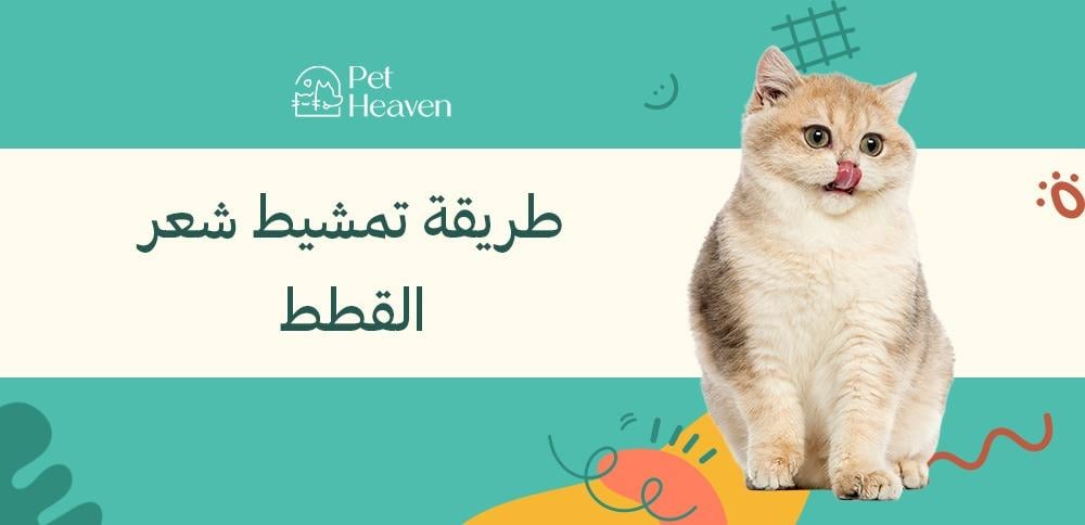 طريقة تمشيط شعر القطط