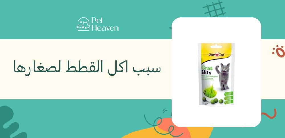 سبب اكل القطط لصغارها