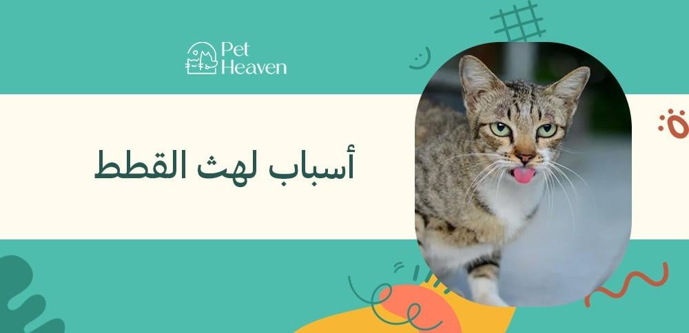 أسباب لهث القطط