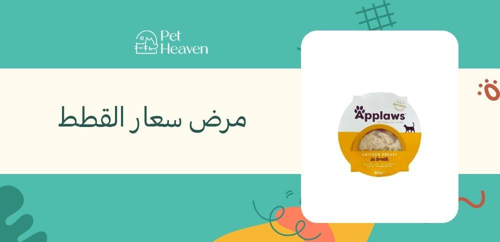 مرض سعار القطط