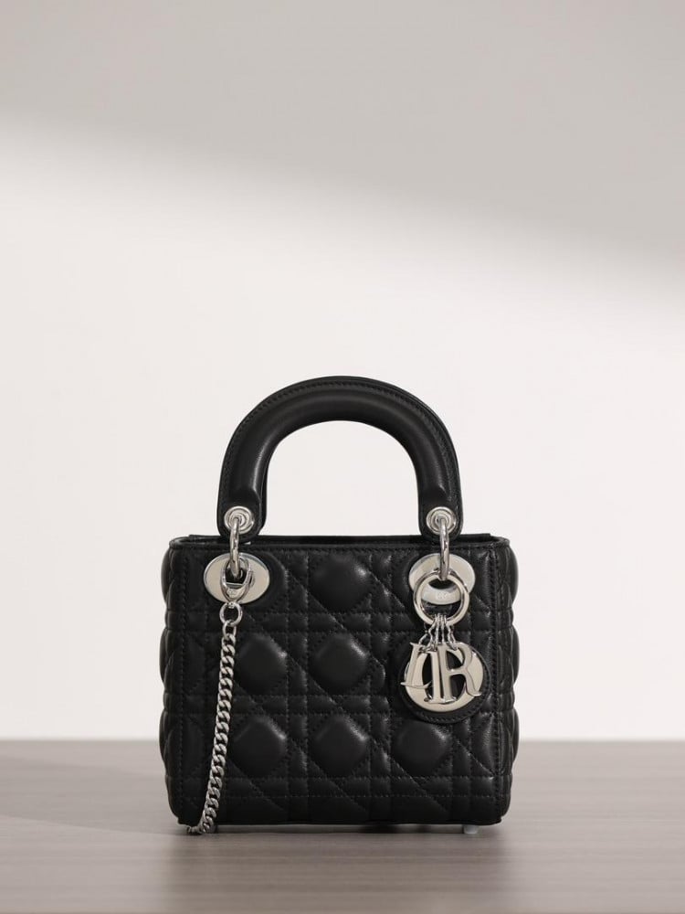 Lady dior 17cm hotsell