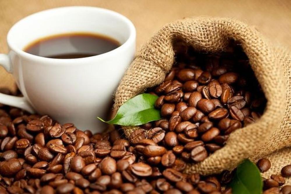 What is the difference between the coffee world roaster and the kaffa roaster?