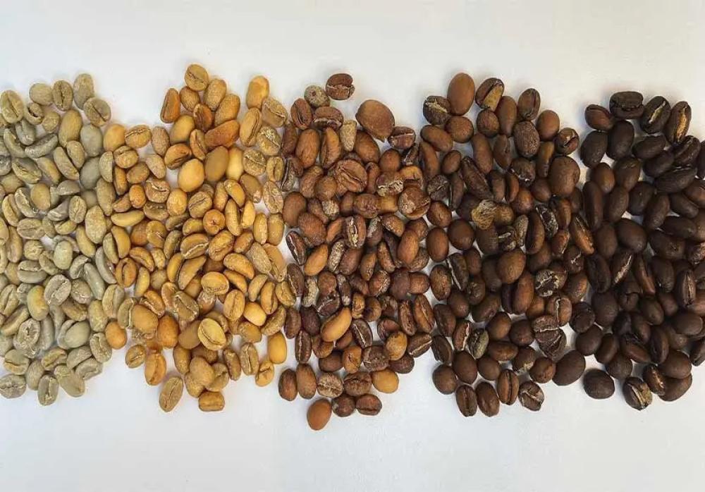 Coffee Roasters and the Difference Between Light, Medium, and Dark Roast