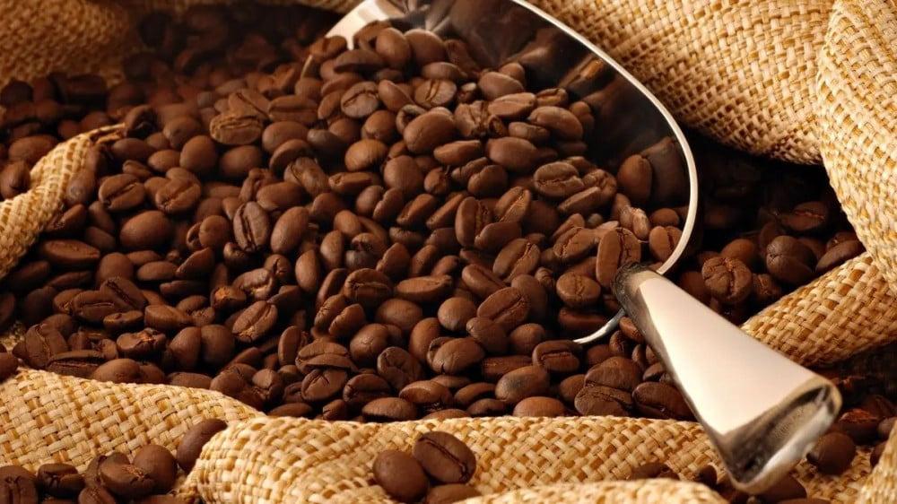 What makes Ethiopian coffee special? Discover its history and unique flavor