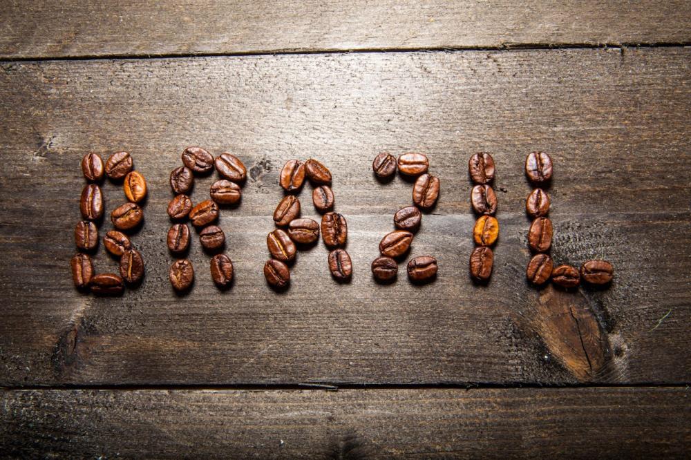 What makes Brazilian coffee special? What is the secret to its rich taste?