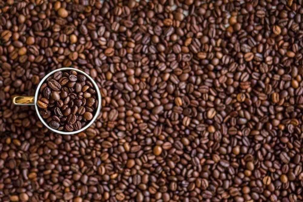 أنواع المحاصيل الأثيوبية و ما الفرق بين كل نوع؟