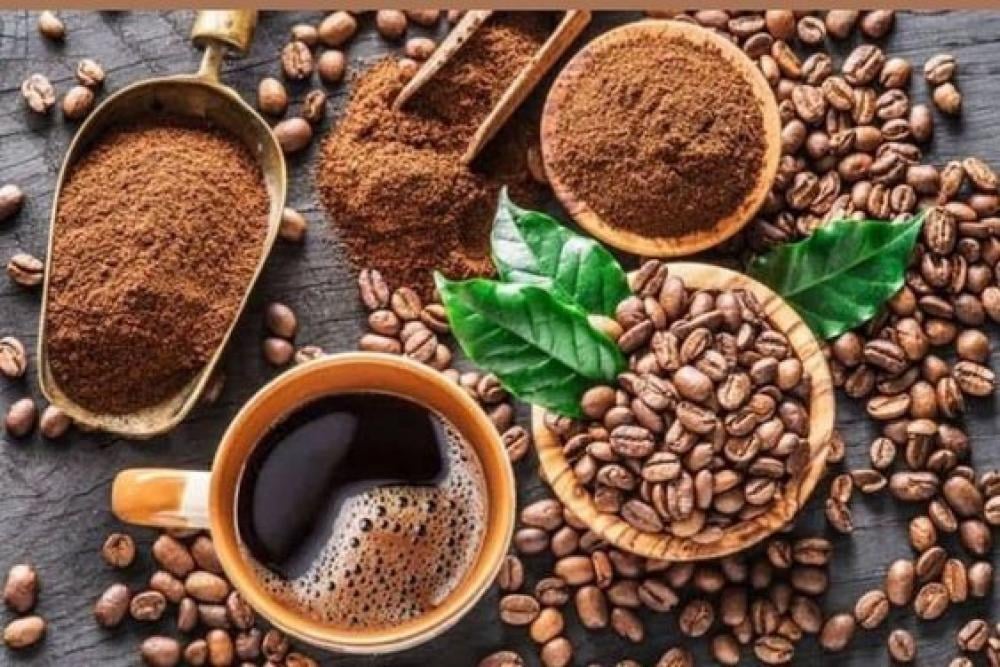 Which is better, roasted or plain coffee?