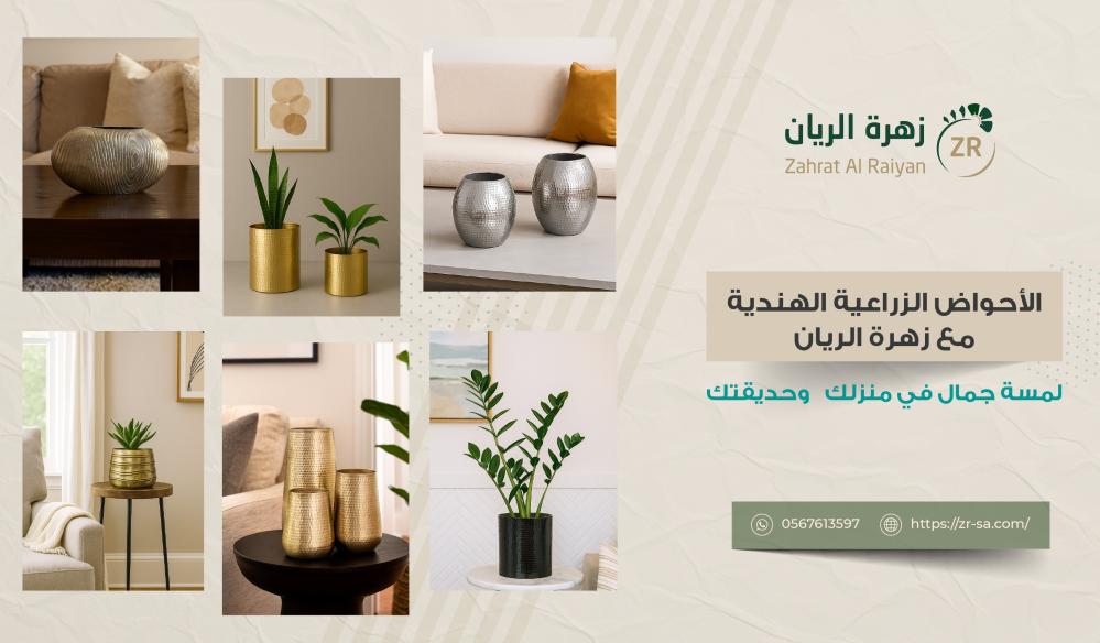 الأحواض الزراعية الهندية مع زهرة الريان: لمسة جمال في منزلك وحديقتك